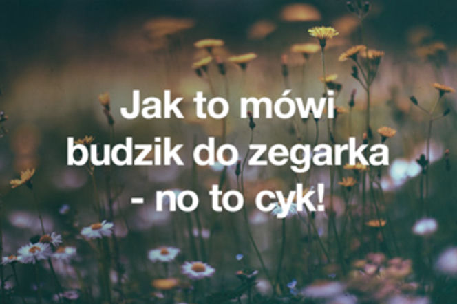 Teksty z Warsaw Shore