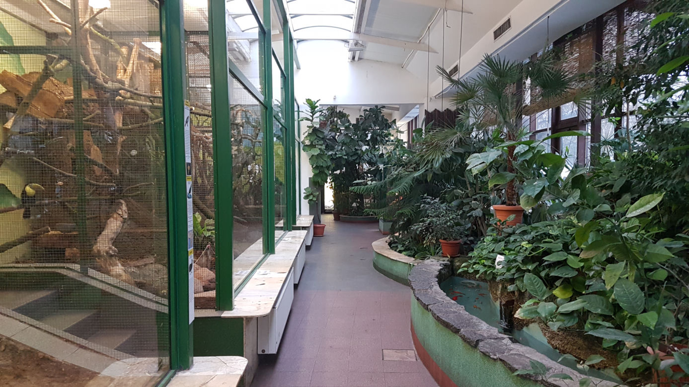 ZOO Toruń zaprasza!