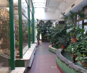 ZOO Toruń zaprasza!