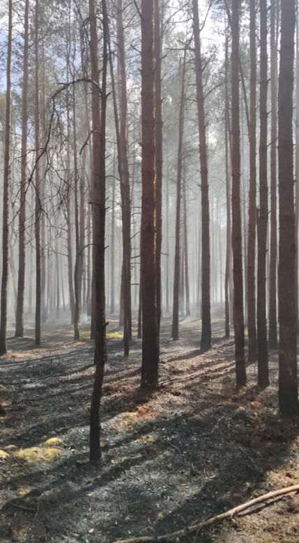 Walczyli z pożarem dwa dni! W akcji gaśniczej strażakom pomagali mieszkańcy!