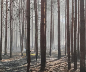 Walczyli z pożarem dwa dni! W akcji gaśniczej strażakom pomagali mieszkańcy!