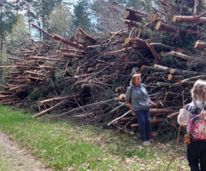 52. Rajd Spotkanie z wiosną