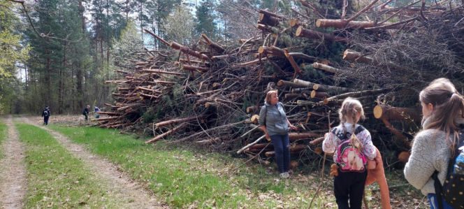 52. Rajd Spotkanie z wiosną