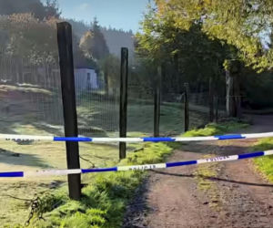Prywatne zoo na Dolnym Śląsku pod lupą śledczych. Czy znęcano się tam nad zwierzętami?
