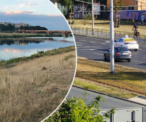 Wrocław usycha. Tak dziś wyglądają osiedla i parki