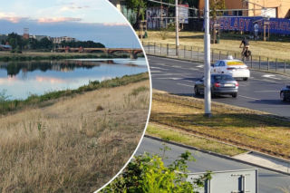 Wrocław usycha. Tak dziś wyglądają osiedla i parki
