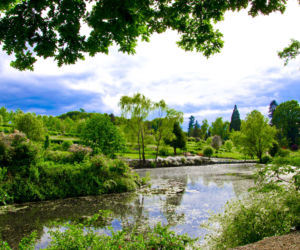Dolnośląskie – Arboretum Wojsławice