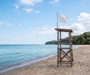 Sinice Gdynia. Czy w Gdyni można się kąpać 03.08? Flaga, warunki pogodowe