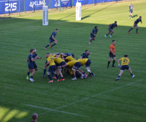 Siedlczanie wygrali półfinałowy mecz Ekstraligi Rugby! MKS Awenta Pogoń Siedlce pokonał Life Style Catering RC Arka Gdynia