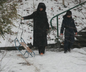 Marta Kaczyńska z synem i psami na sankach w lesie
