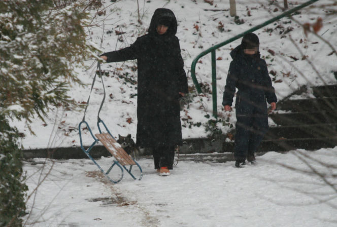 Marta Kaczyńska z synem i psami na sankach w lesie