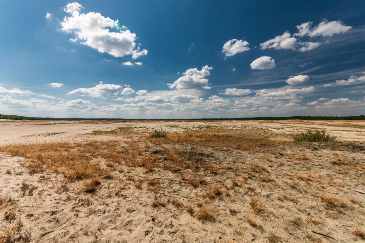 Polska Sahara – Pustynia Błędowska w środku Europy