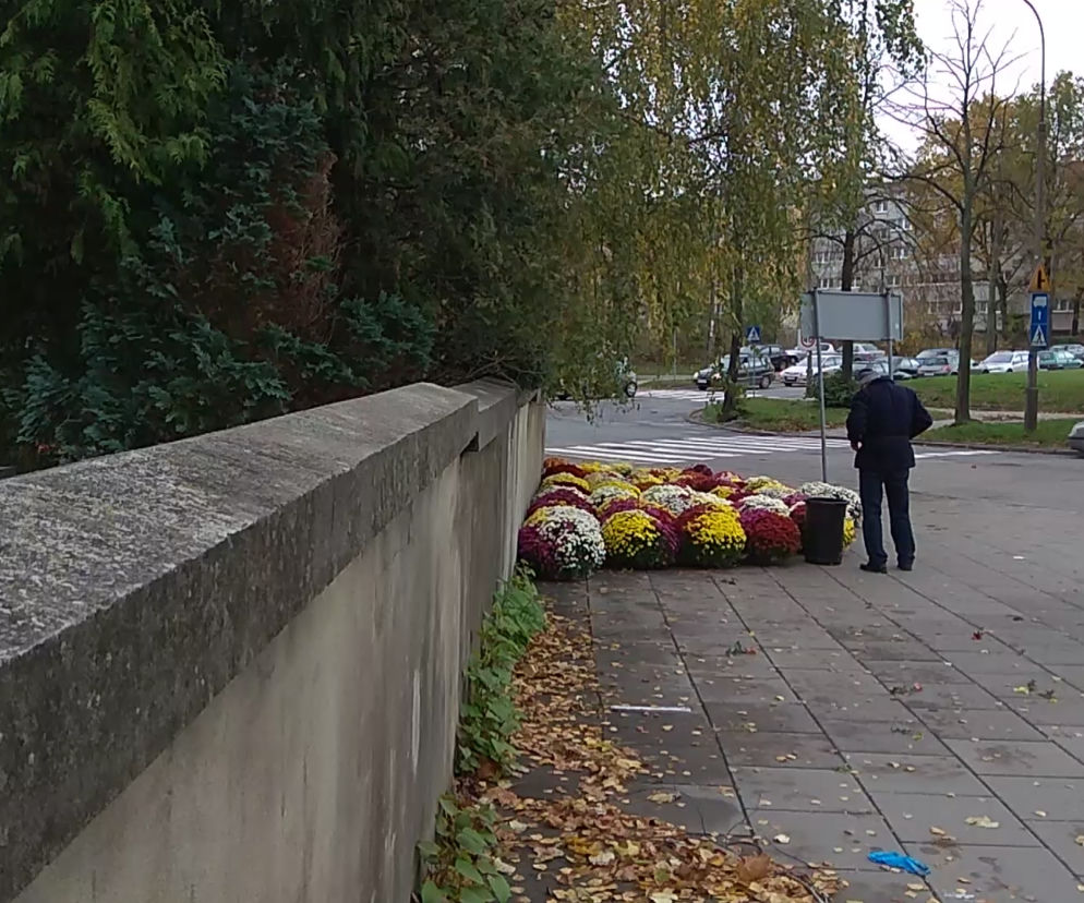Organizacja ruchu przy łódzkich cmentarzach