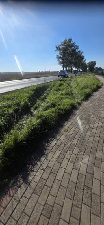 Śmierć na drodze