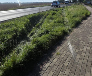 Śmierć na drodze