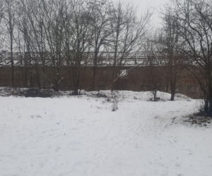 Zima na Górkach Fordońskich