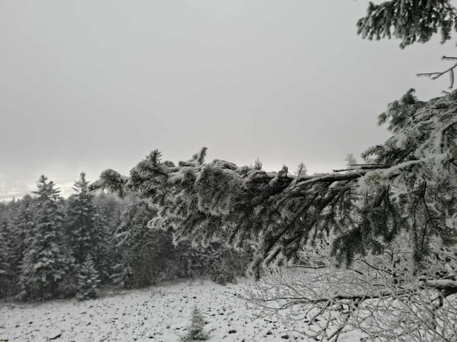Majestatycznie, zimowo, jak w bajkowej Narnii. Tak Nowy Rok wita Święty Krzyż
