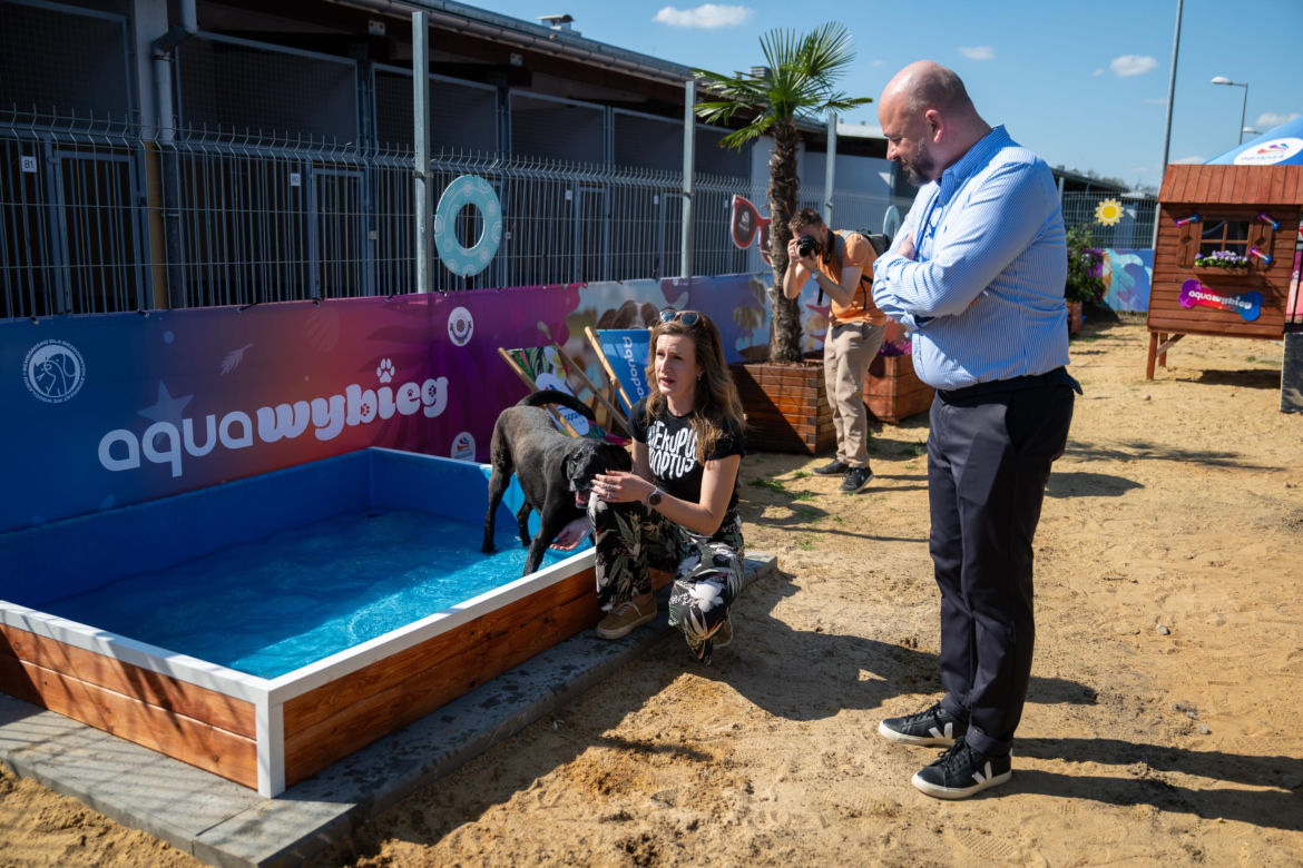 WrocŁapka i Aqua-Wybieg dla psów we Wrocławiu