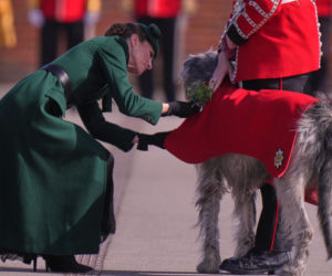 Księżna Kate cała w zieleni na Dniu Świętego Patryka! Dobrze wyglądała?
