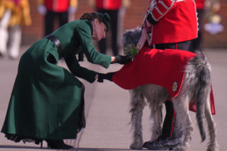 Księżna Kate cała w zieleni na Dniu Świętego Patryka! Dobrze wyglądała?