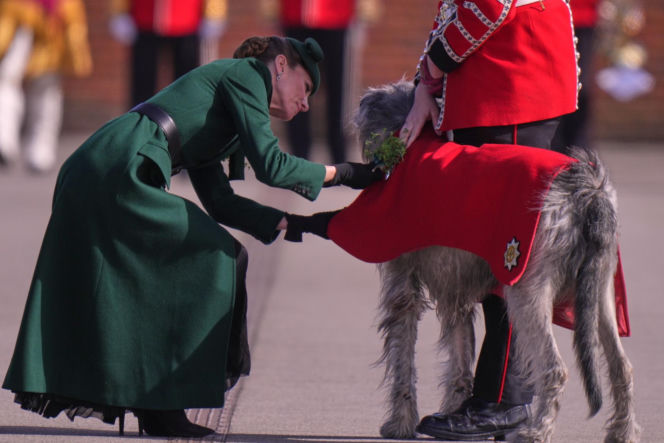 Księżna Kate cała w zieleni na Dniu Świętego Patryka! Dobrze wyglądała?