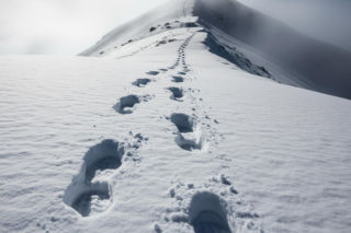 Kozi Wierch z jabłuszkami. Czy brawura w Tatrach nie zna granic?