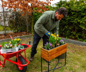 Wiosenne porządki w ogrodzie