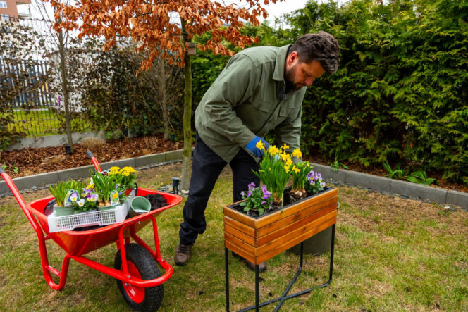 Wiosenne porządki w ogrodzie