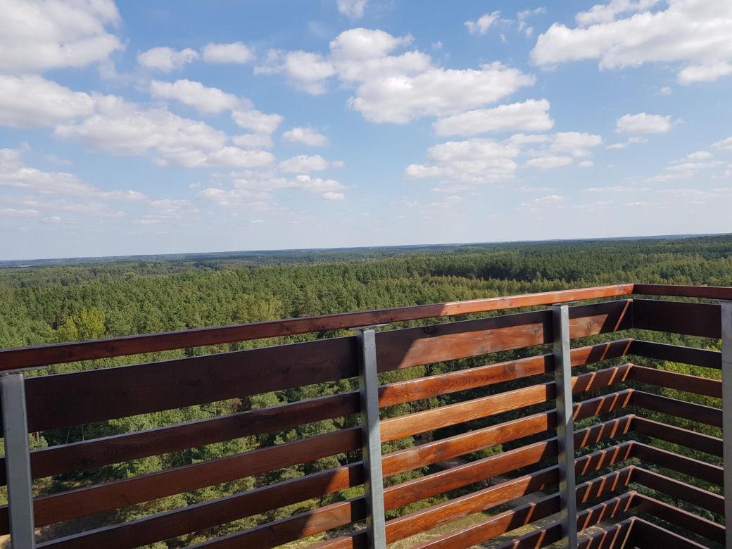 Wieża widokowa w Uhowie. To najwyższa wieża na Podlasiu [ZDJĘCIA]