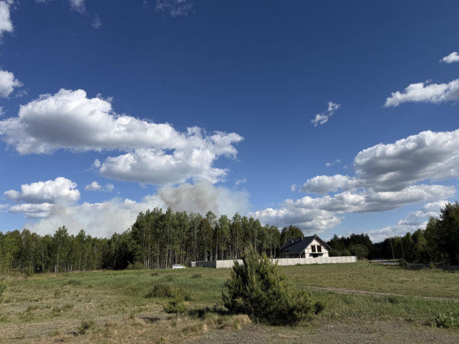 Wielki pożar pod Warszawą. Strażacy walczą z żywiołem
