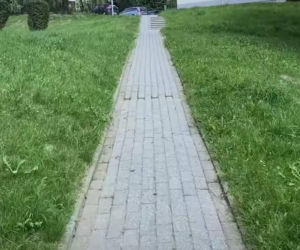 12-letnia Basia Majchrzak wyszła do szkoły i nie wróciła. Ruszyliśmy jej śladem. Służby bezradne