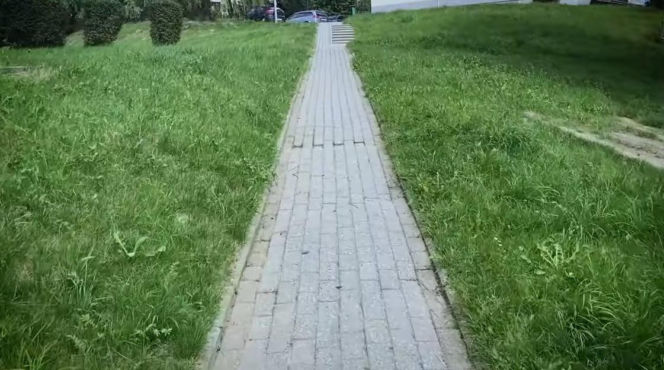 12-letnia Basia Majchrzak wyszła do szkoły i nie wróciła. Ruszyliśmy jej śladem. Służby bezradne