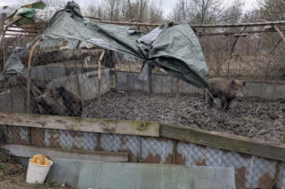 Rozbita szajka włamywaczy – zdjęcia z akcji i przeszukań w Dąbowie Tarnowskiej