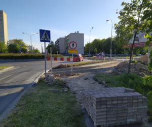 Teren łąki kwietnej przy remontowanej ul. Monte Cassino oraz postępy remontu - ZDJĘCIA
