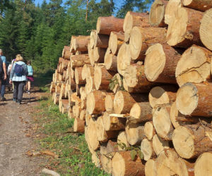 52. Rajd Miłośników Roztocza