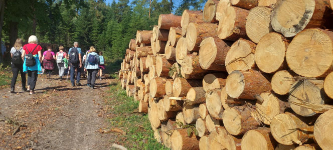 52. Rajd Miłośników Roztocza