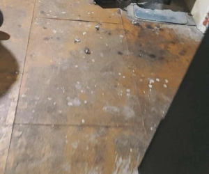 Interwencja Radzionków