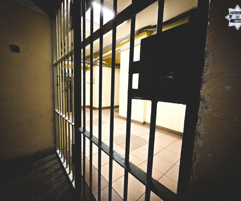 Znęcał się nad matką – 17-latek z Zabrza w areszcie