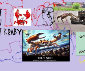Szczecińskie kraby