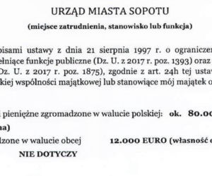 Jacek Karnowski i jego majątek