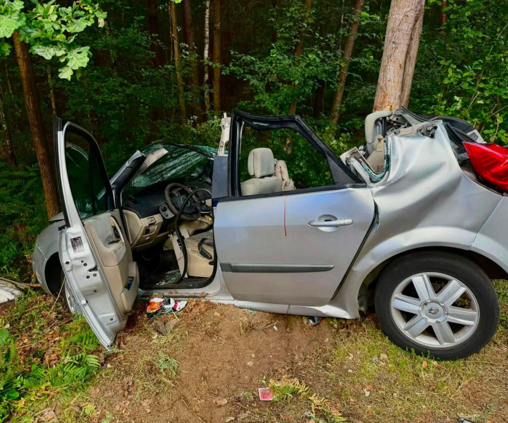 Samochód uderzył w drzewo. Cztery osoby, w tym 6-letnie dziecko, trafiły do szpitali