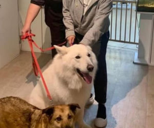 Małgorzata Ostrowska