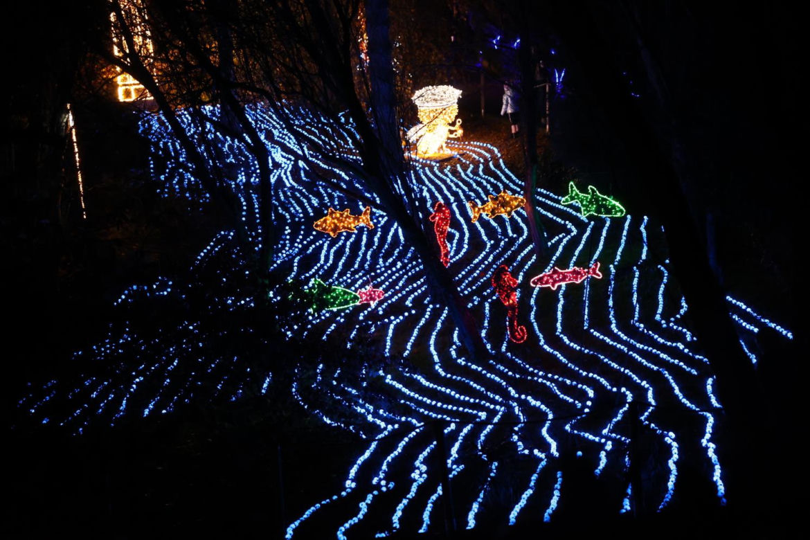 Park iluminacji 2023 w Lublinie