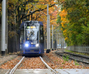 Limit podróżnych w transporcie publicznym. MPK Wrocław: to fikcja!