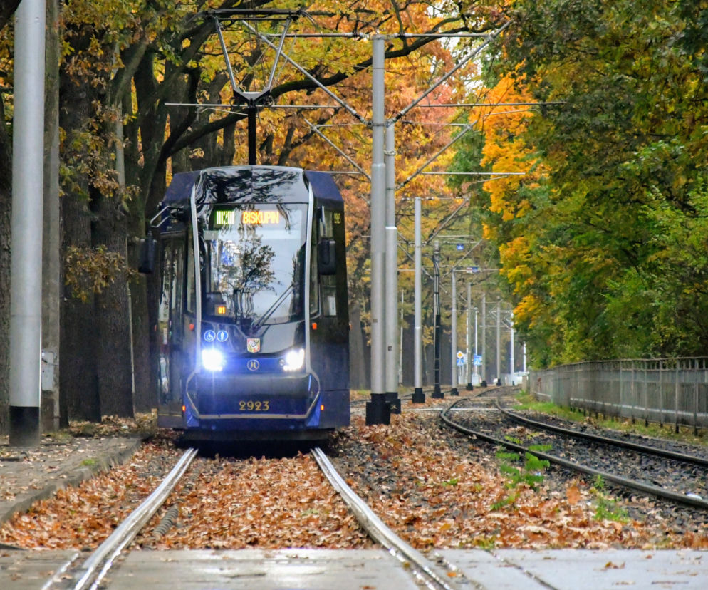 Limit podróżnych w transporcie publicznym. MPK Wrocław: to fikcja!