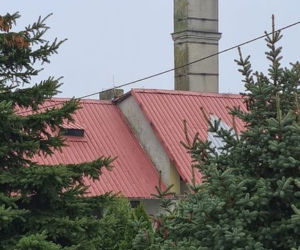 BOCIAN zamiast ciepłych krajów wybrał Wadlew?! „Stwierdził że w ciepłych krajach też pandemia”  