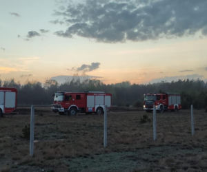 Ogromny pożar pod Grójcem! Spłonęło 80 hektarów lasu