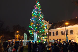 Kardynał Ryś rozświetlił Kraków! Zobacz, co dzieje się pod Oknem Papieskim