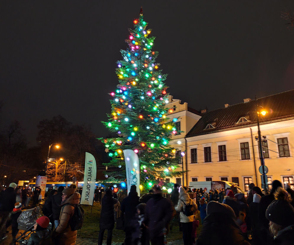 Kardynał Ryś rozświetlił Kraków! Zobacz, co dzieje się pod Oknem Papieskim