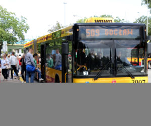 Wielki powrót autobusów z wakacji